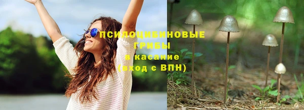 бошки Аркадак