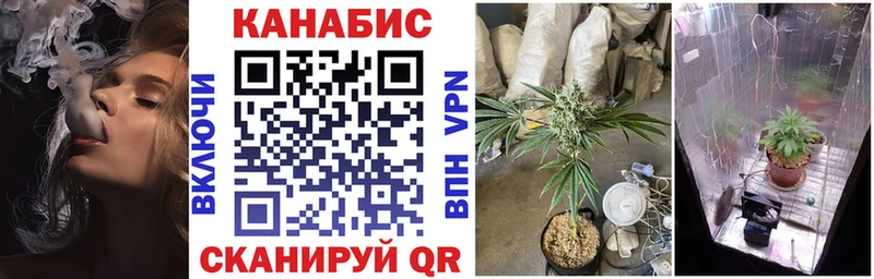 Марихуана тримм  Каменногорск 